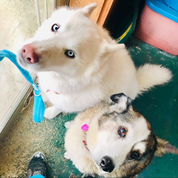 Meet your Posher, Karen - Picture 15 of 16